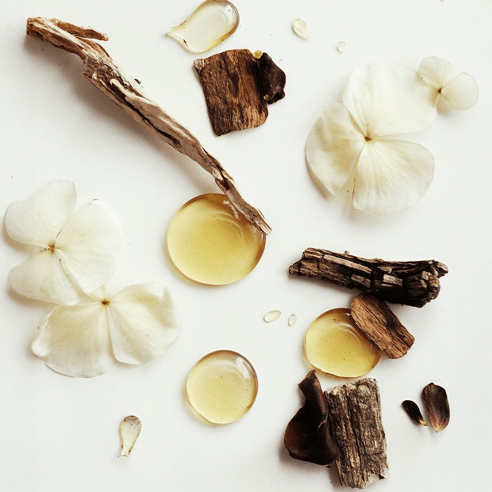 HERLOW grass-fed tallow balm with natural wood pieces and white flower petals on white background