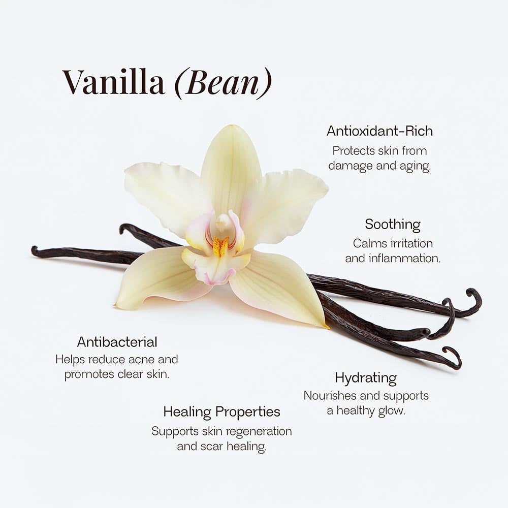 HERLOW grass-fed tallow balm with vanilla bean highlighting antioxidant, soothing, antibacterial, hydrating, and healing properties