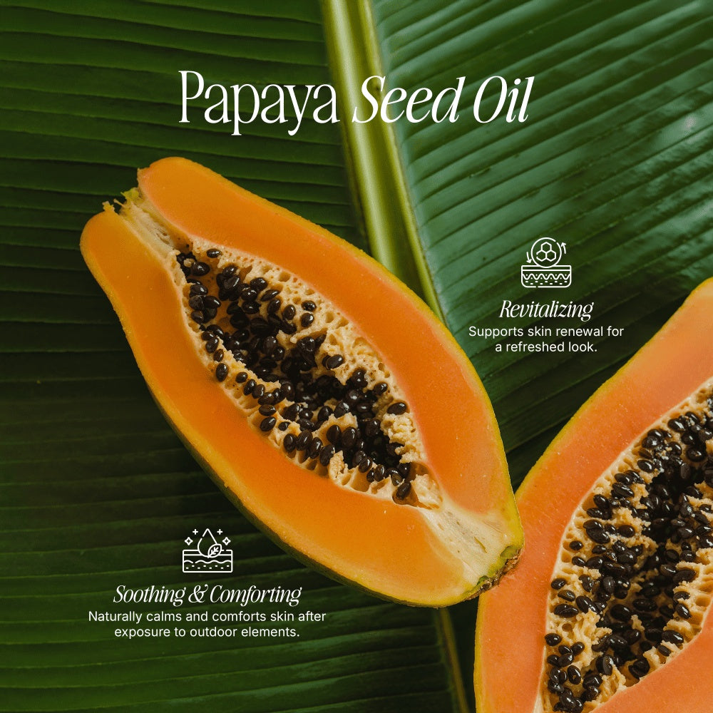HERLOW tallow sun stick enriched with papaya seed oil for soothing and revitalizing skin